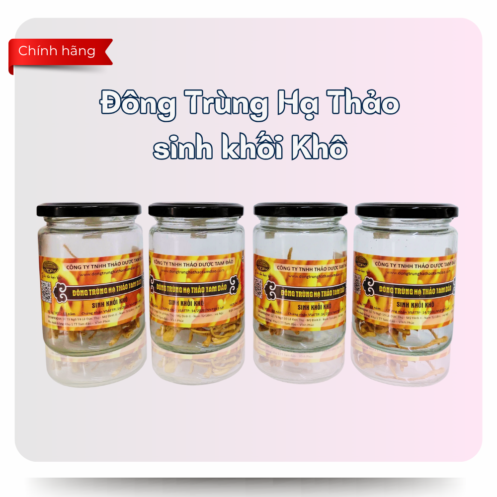 Công Dụng Đông Trùng Hạ Thảo Sinh Khối Khô